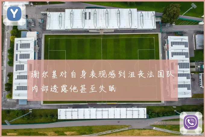 谢尔基对自身表现感到沮丧法国队内部透露他甚至失眠