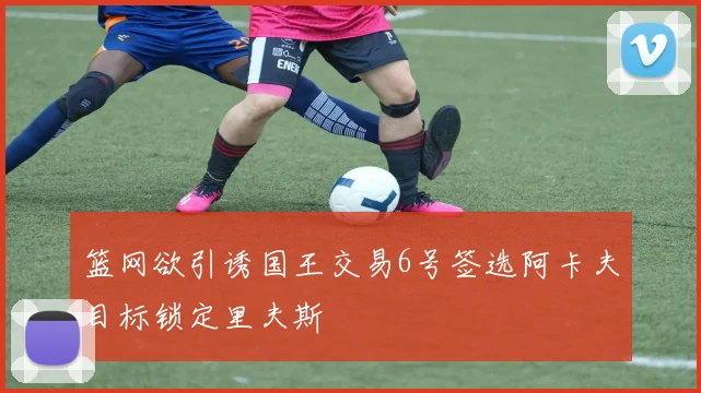 篮网欲引诱国王交易6号签选阿卡夫目标锁定里夫斯