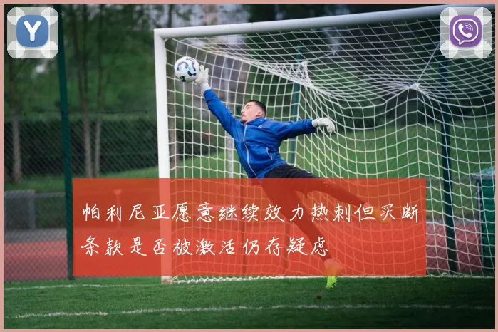 帕利尼亚愿意继续效力热刺但买断条款是否被激活仍存疑虑